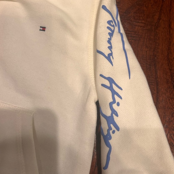 Stylish comfy Tommy Hilfiger Kids Off-White preppy Hoodie with logo NWT 2T - Picture 2 of 3